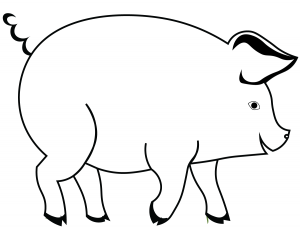 Cartoon Pig coloring page image