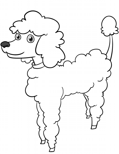 Cartoon Poodle coloring page image