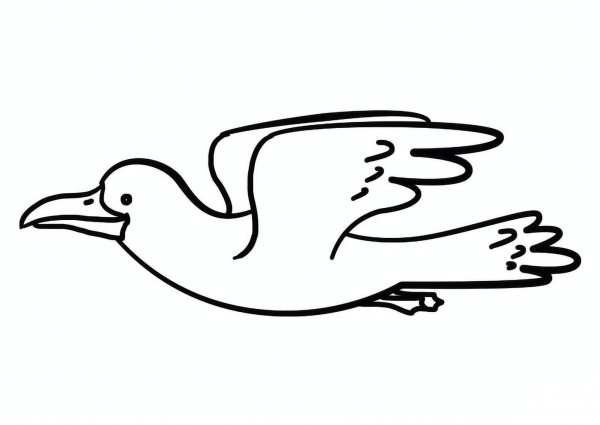 Cartoon Seagull coloring page image