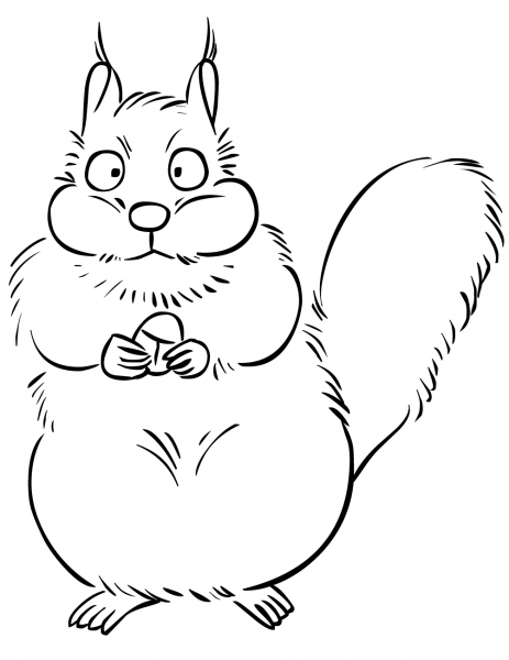 Cartoon Squirrel with Acorn coloring page image