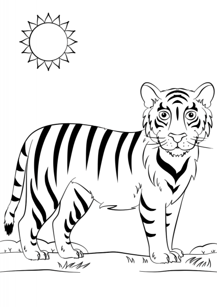 Cartoon Tiger coloring page image