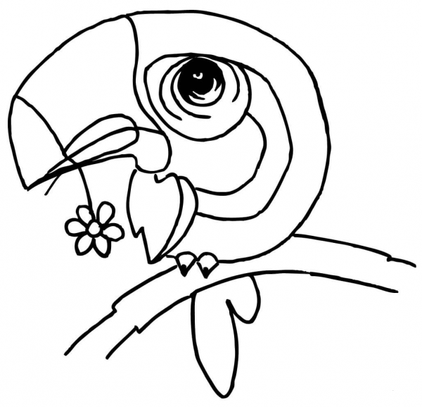 Cartoon Toucan with a Flower in the Beak  coloring page image