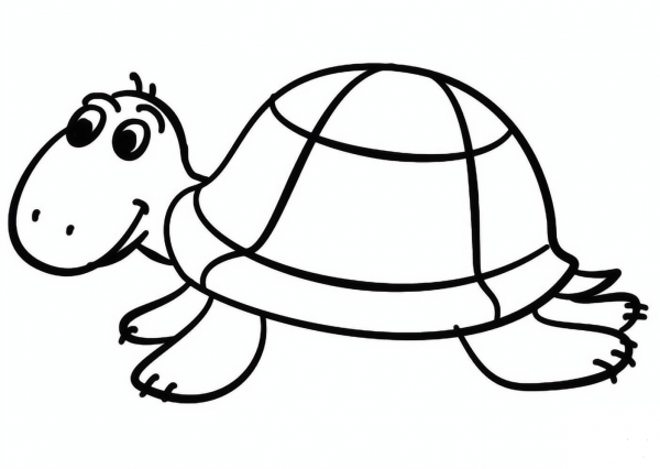 Cartoon Turtle coloring page image