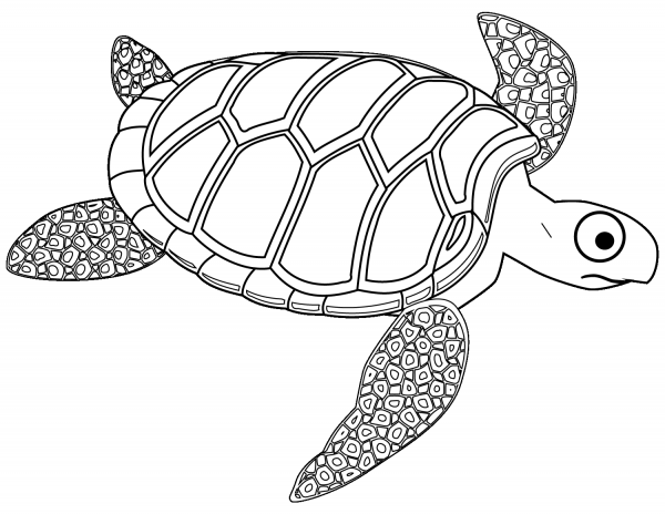Cartoon Turtle coloring page image