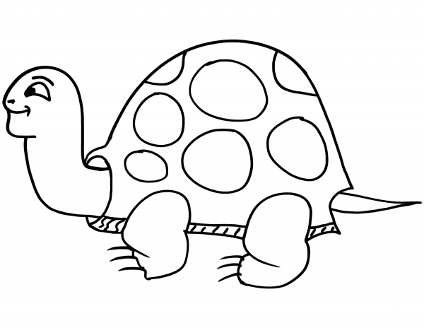 Cartoon Turtle coloring page image