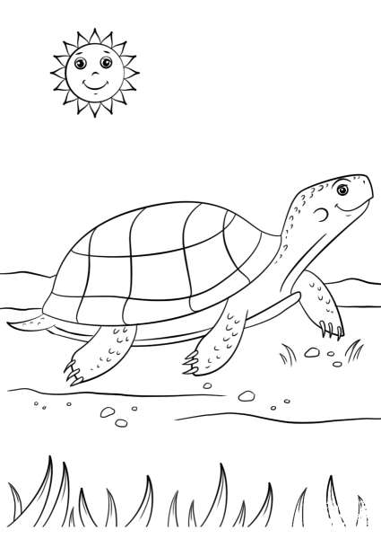 Cartoon Turtle coloring page image