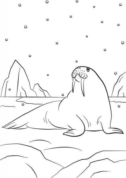 Cartoon Walrus coloring page image
