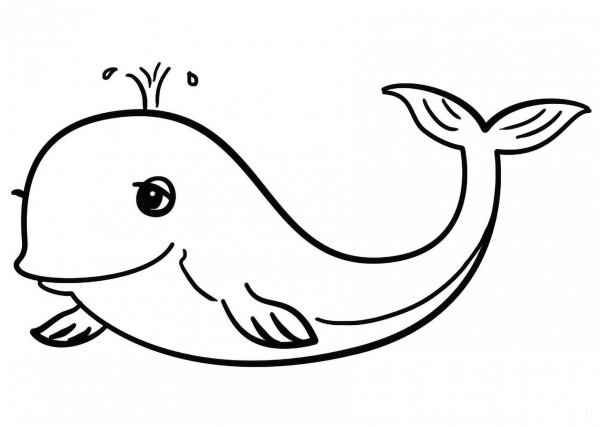 Cartoon Whale coloring page image