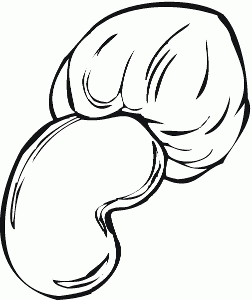 Cashew Nut and Chestnut coloring page image