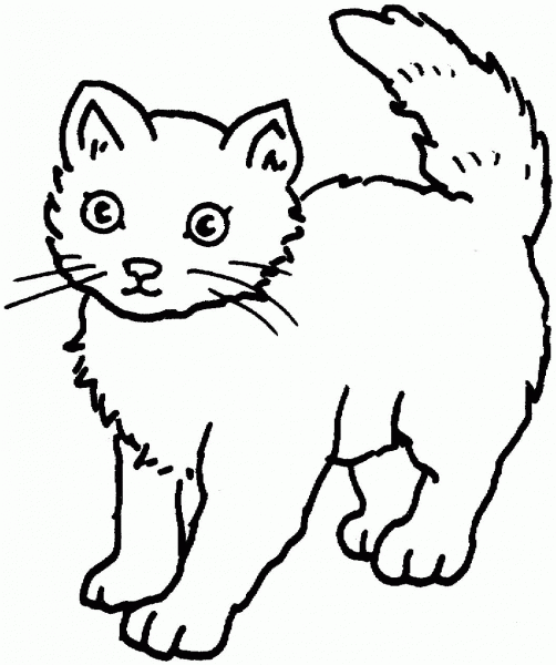 Cat coloring page image