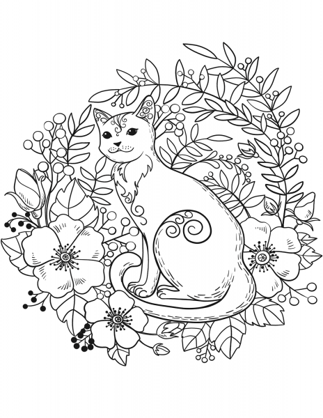 Cat coloring page image