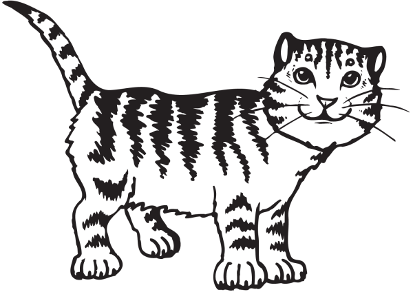 Cat coloring page image