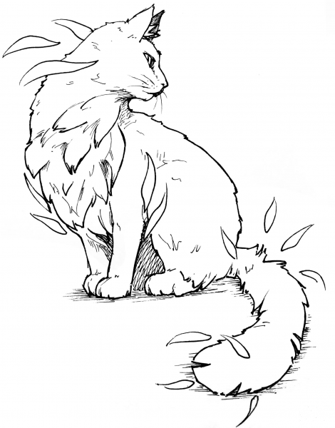 Cat coloring page image