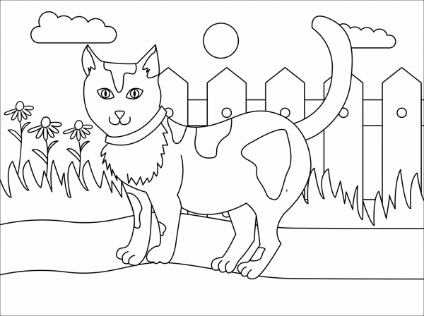 Cat coloring page image