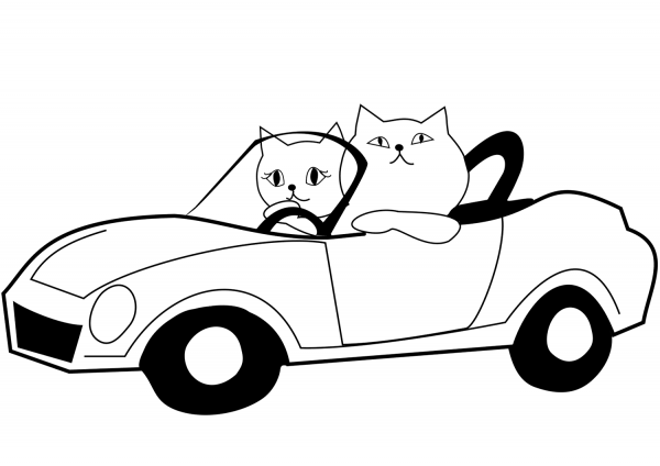 Cat Drives a Car coloring page image