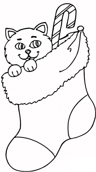 Cat In Stocking coloring page image