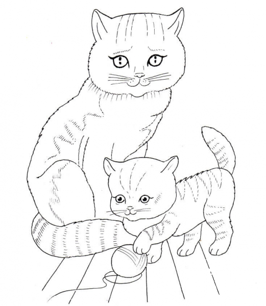 Cat Mother and Kitten coloring page image