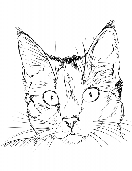 Cat Portrait coloring page image