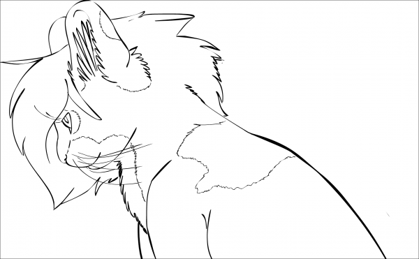 Cat Portrait coloring page image