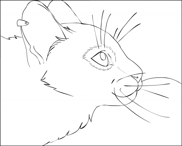 Cat Portrait coloring page image