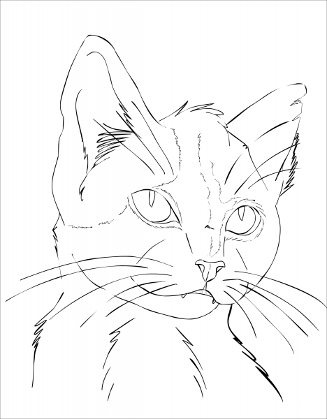 Cat Portrait coloring page image