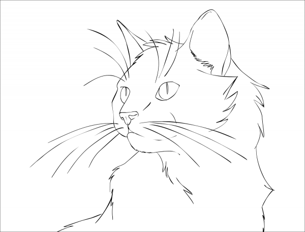 Cat Portrait coloring page image