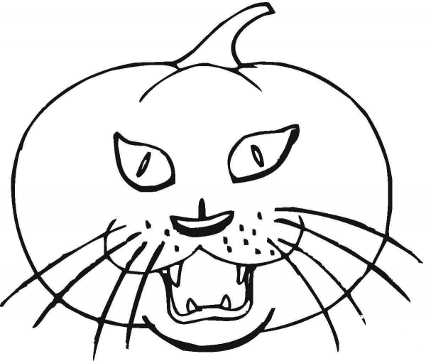 Cat Pumpkin  coloring page image