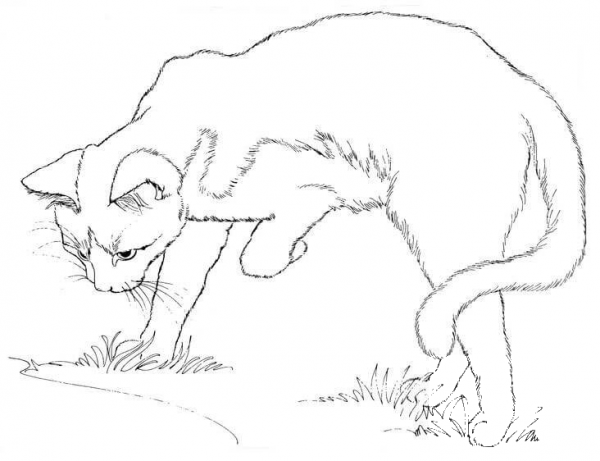 Cat Watching Himself in a Puddle coloring page image