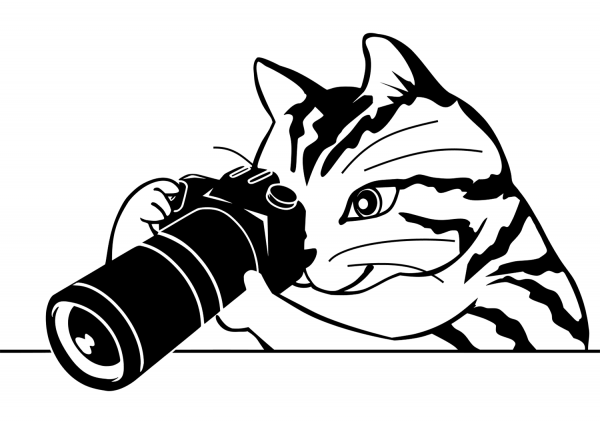 Cat with the Photo Camera coloring page image