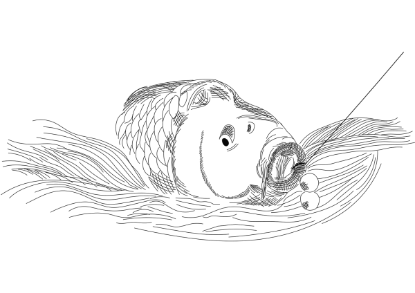 Catching Carp Bait in the Water coloring page image