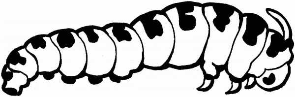 Caterpillar 1 coloring page image