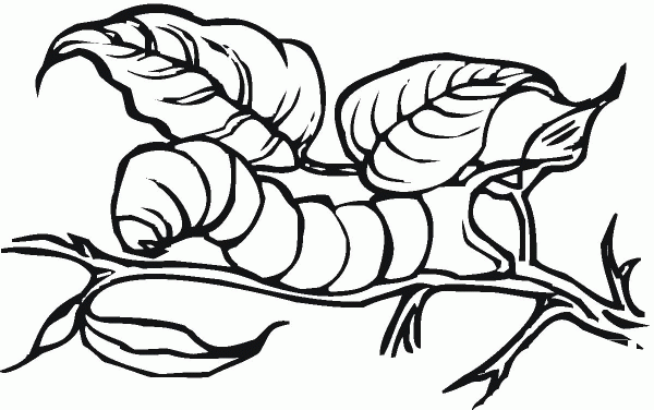 Caterpillar 22 coloring page image