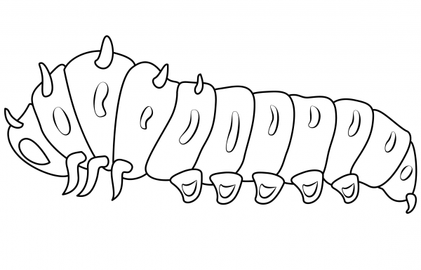 Caterpillar coloring page image