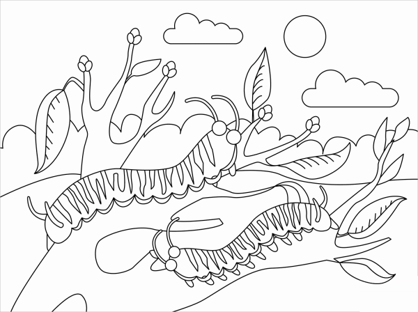 Caterpillar coloring page image