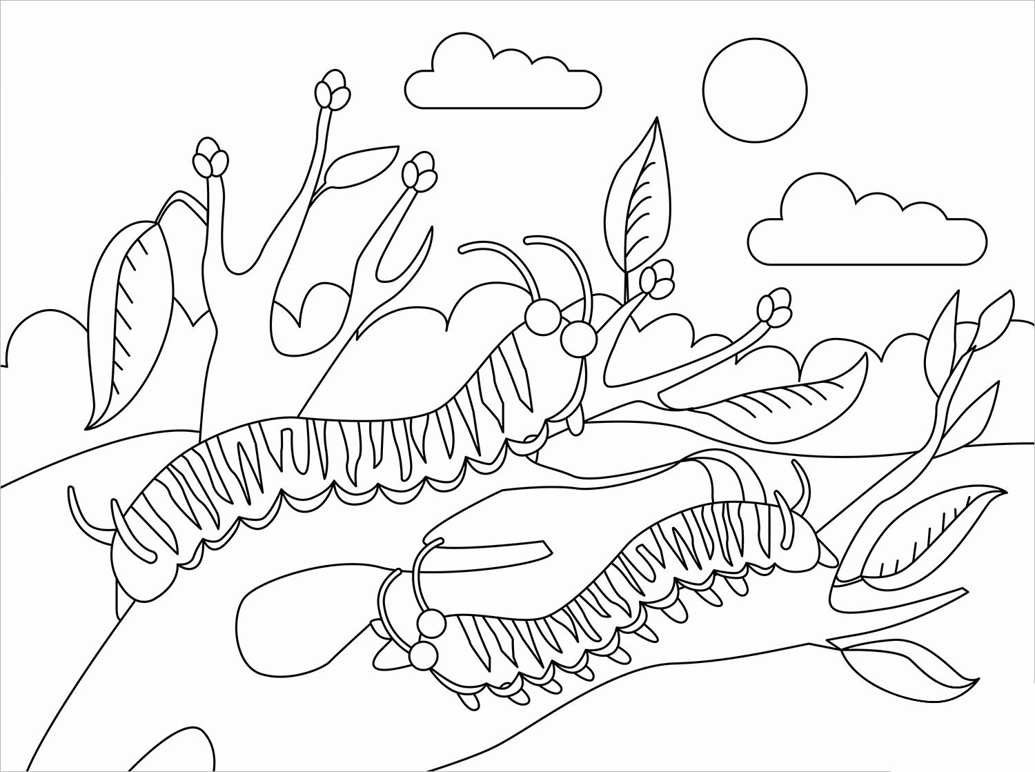 Caterpillar coloring page - ColouringPages