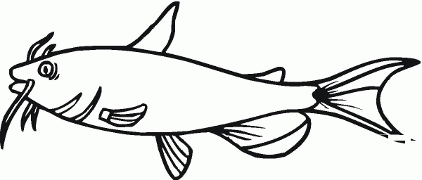 Catfish 1 coloring page image