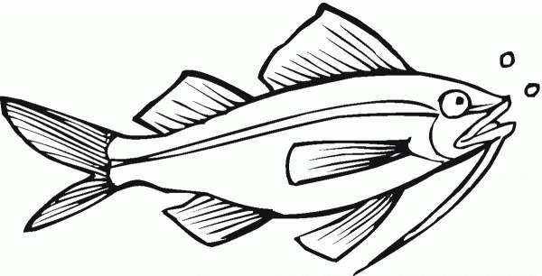 Catfish 10 coloring page image