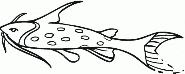 Catfish 13 coloring page image