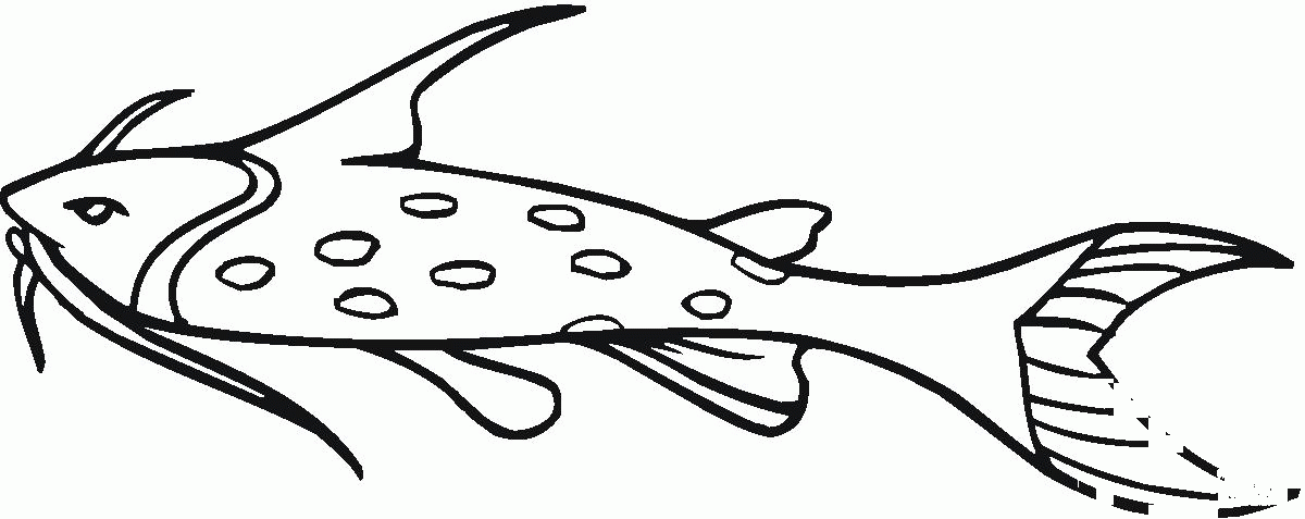 Catfish 13 coloring page - ColouringPages