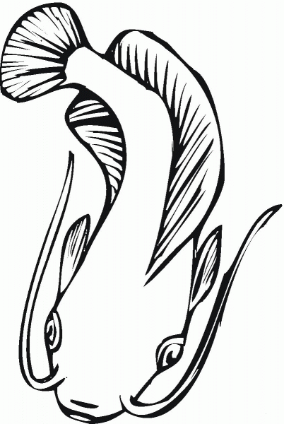 Catfish 15 coloring page image