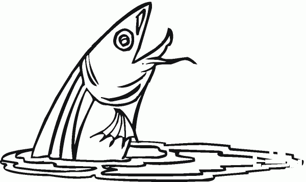 Catfish 2 coloring page image