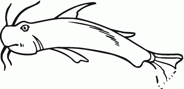 Catfish 22 coloring page image