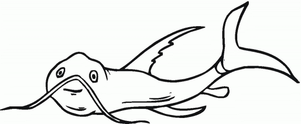 Catfish 24 coloring page image