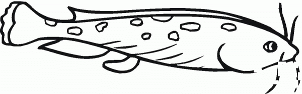 Catfish 25 coloring page image