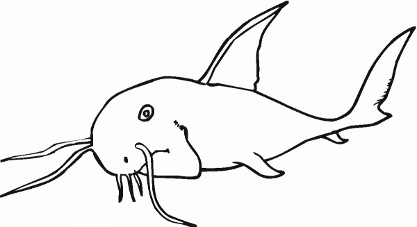 Catfish 4 coloring page image