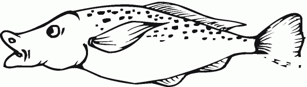 Catfish 6 coloring page image