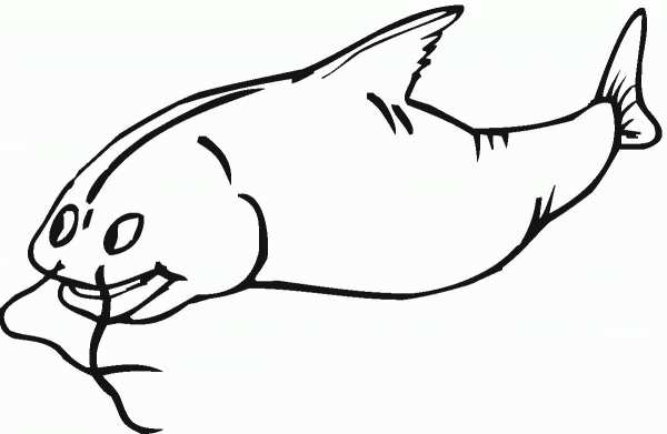 Catfish 7 coloring page image