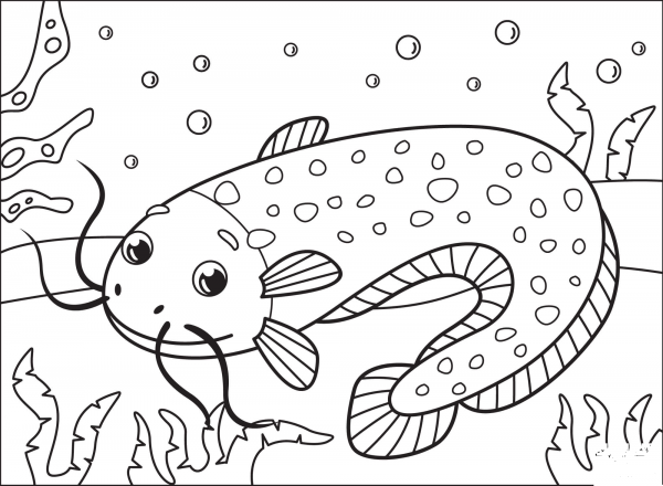 Catfish coloring page image