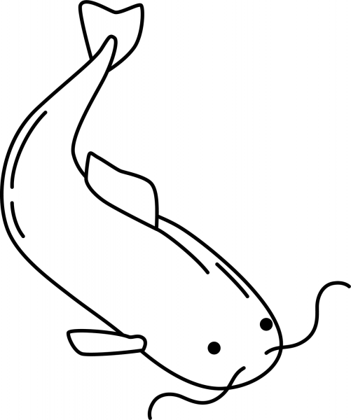 Catfish coloring page image