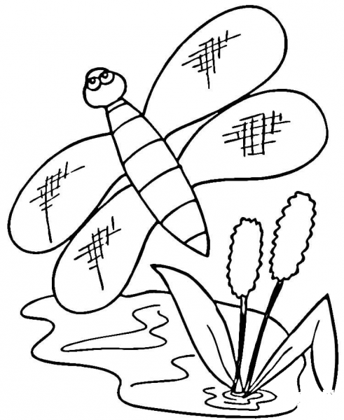 Cattails and dragonfly coloring page image